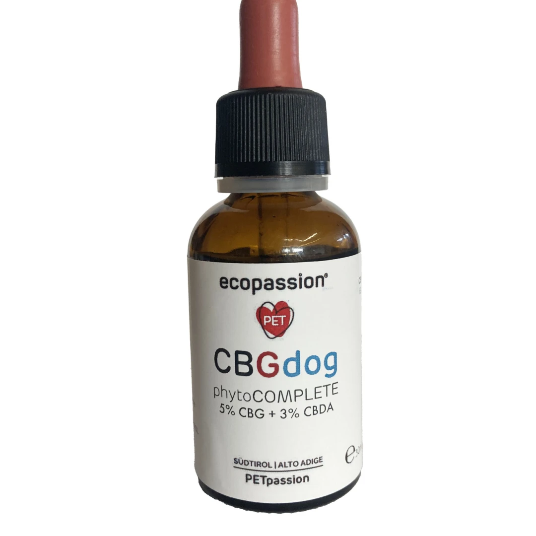 CBGDOG30 -- 000 (355)